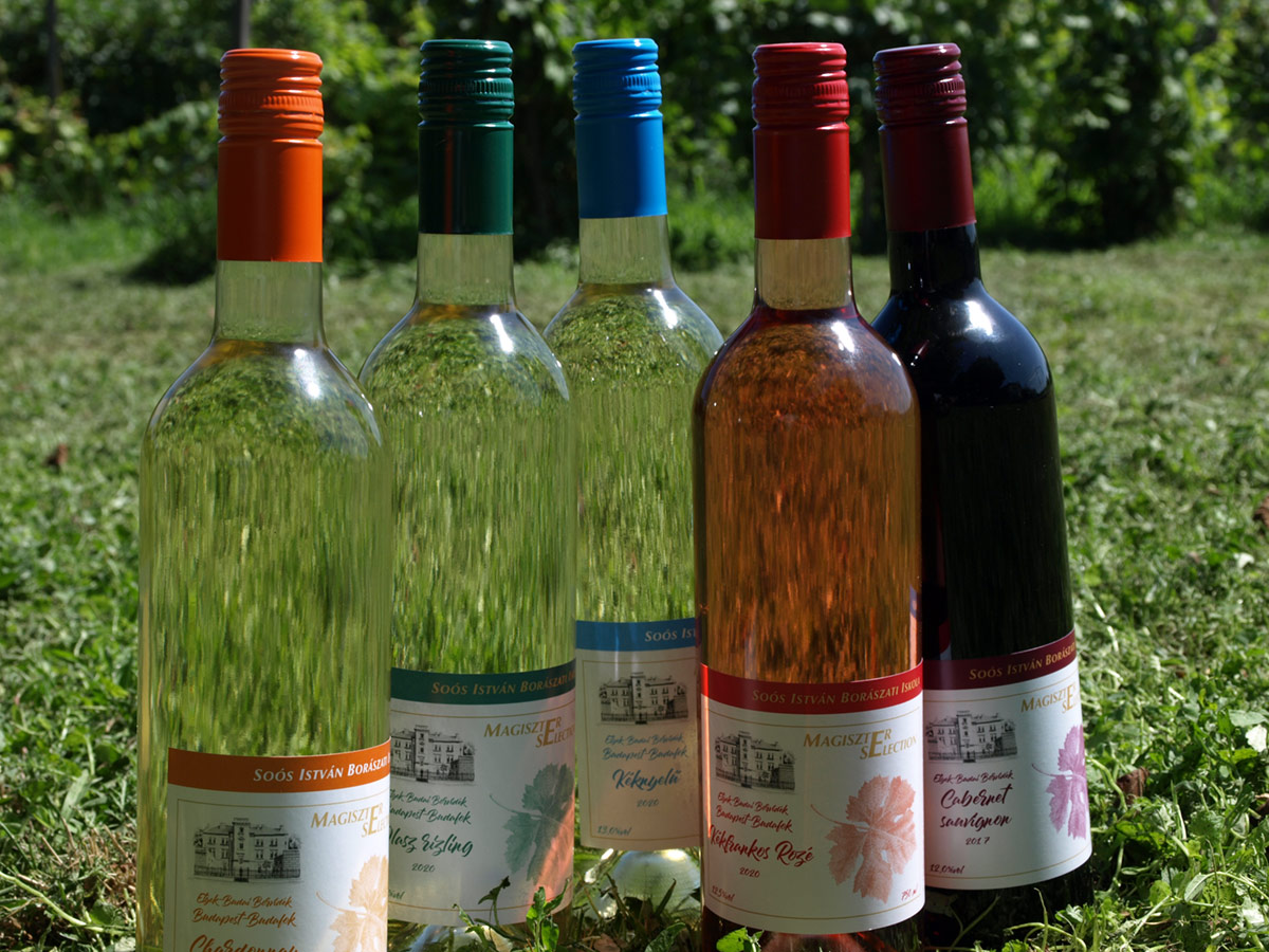 Kékfrankos rozé 2020